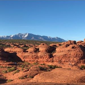 Meet your Posher, Max